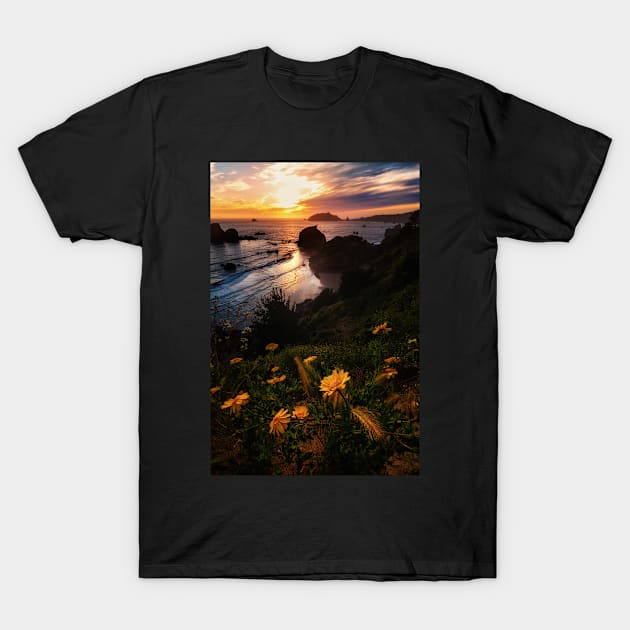 Sunset at the Beach T-Shirt by JeffreySchwartz